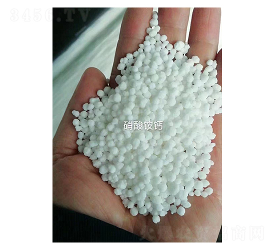 �����@�}-�Z�·ʘI(y��)