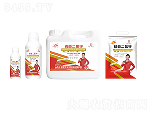 ��������-�ƹ�ʯ